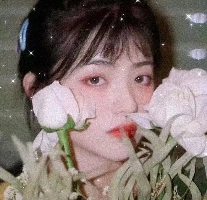 花姊妹风流债